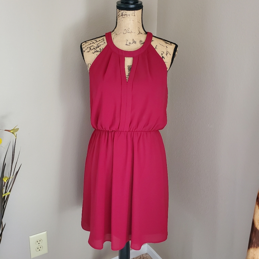 Pink Dress Monteau LA